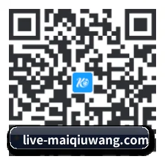 安卓 APP 二维码